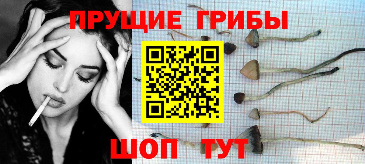 Псилоцибиновые грибы MAGIC MUSHROOMS  Вход с VPN  Карталы  Псилоцибиновые грибы MAGIC MUSHROOMS 