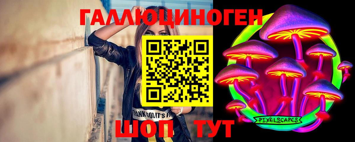 Псилоцибиновые грибы GOLDEN TEACHER Карталы